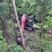 Tulsa District hub crew conducts erosion control work near Newt Graham Lock and Dam