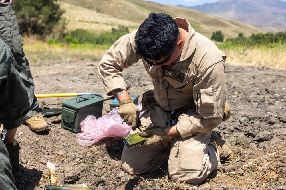 7th ESB EOD technicians participate in an exploitation range