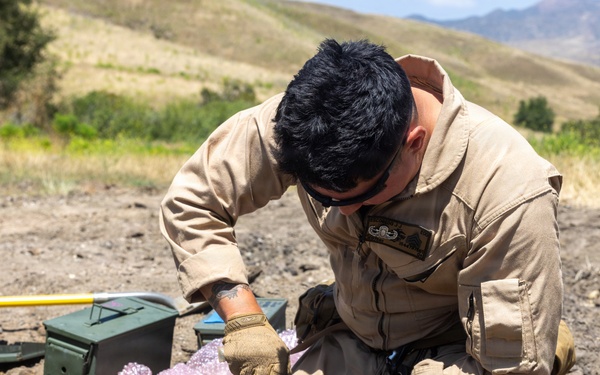 7th ESB EOD technicians participate in an exploitation range