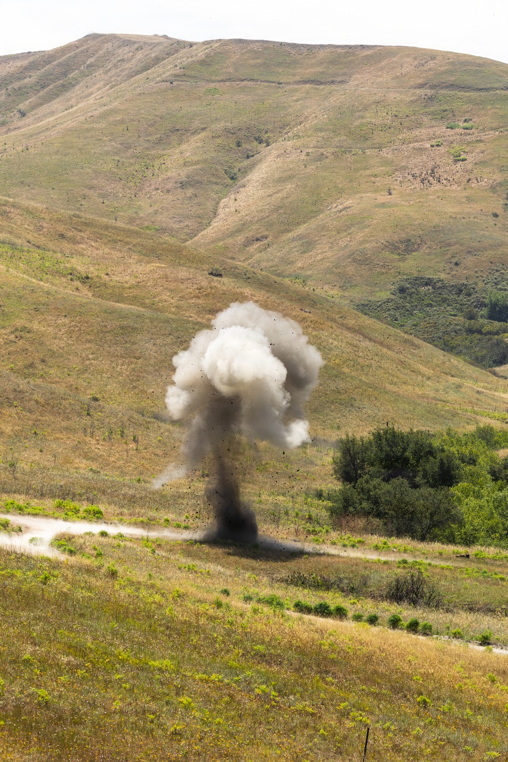 7th ESB EOD technicians participate in an exploitation range