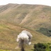 7th ESB EOD technicians participate in an exploitation range
