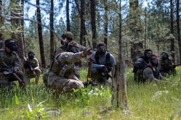 Forging tactical readiness during Iron Ascent
