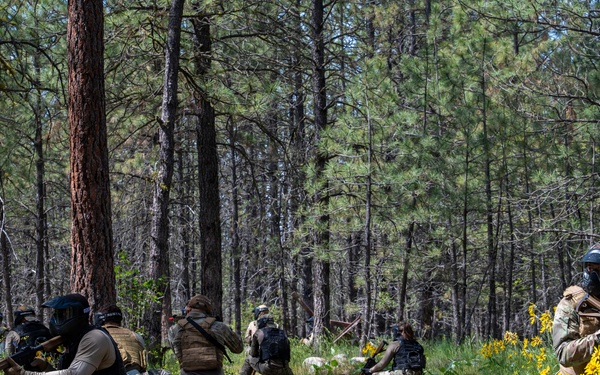Forging tactical readiness during Iron Ascent