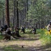 Forging tactical readiness during Iron Ascent
