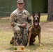 Military Working Dog EErek recognized for exceptional career