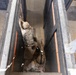 Military Working Dog EErek recognized for exceptional career