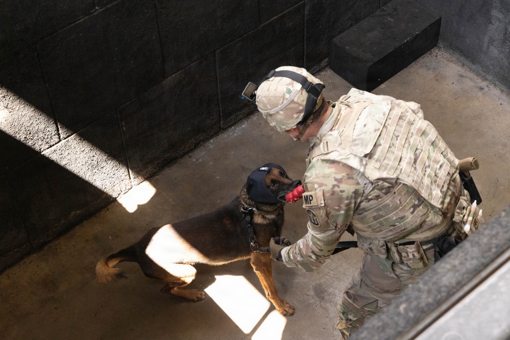 Military Working Dog EErek recognized for exceptional career