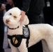 CBP personnel attend Blue Mass
