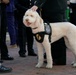 CBP personnel attend Blue Mass