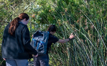 Vandenberg Biologists Survey Southwestern Pond Turtles
