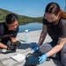 Vandenberg Biologists Survey Southwestern Pond Turtles