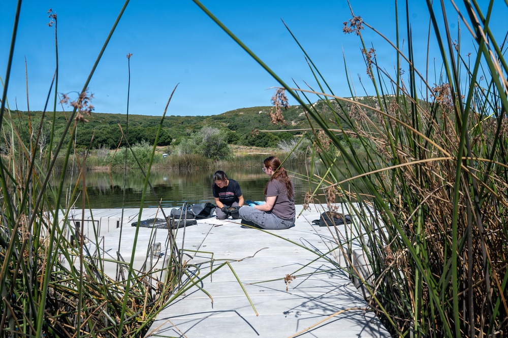 Vandenberg Biologists Survey Southwestern Pond Turtles