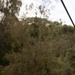 2026 USARPAC Pacific Land Forces Team Readiness Challenge: Jungle Land Navigation