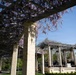 America 250 Public Walking Tour