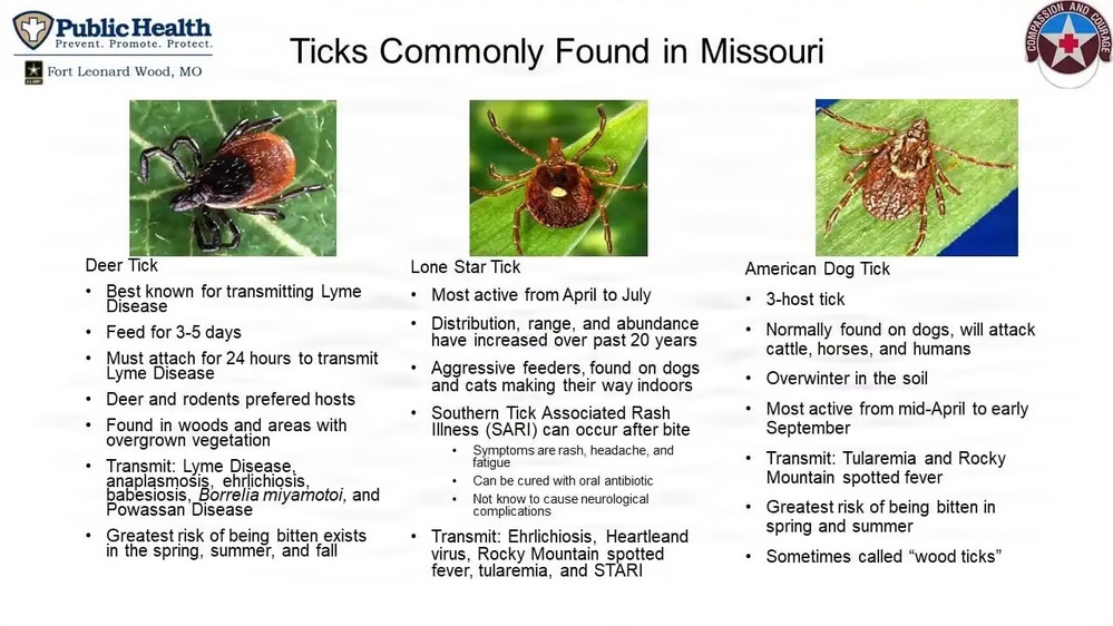 Tick season: What to know before heading outdoors