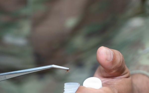 Tick season: What to know before heading outdoors