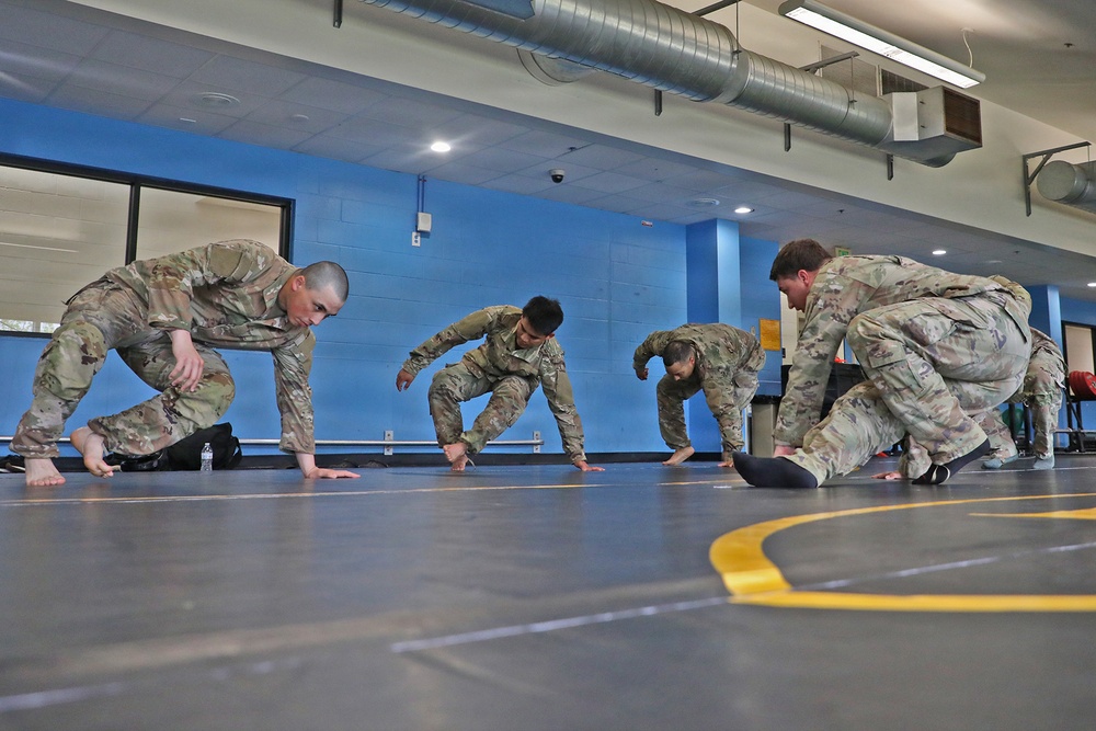 593d CSC Quarterly Combatives Level I Class