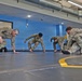 593d CSC Quarterly Combatives Level I Class