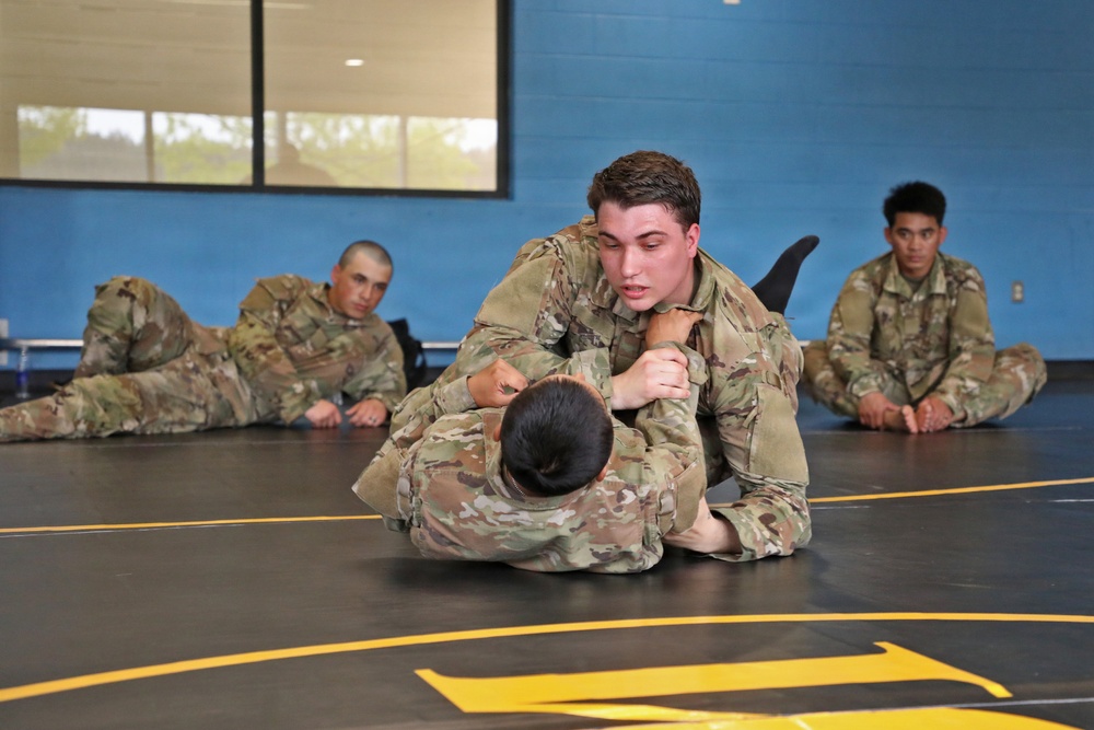 593d CSC Quarterly Combatives Level I Class