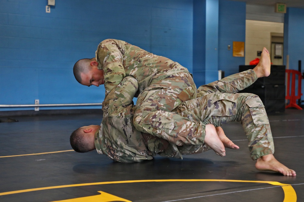 593d CSC Quarterly Combatives Level I Class