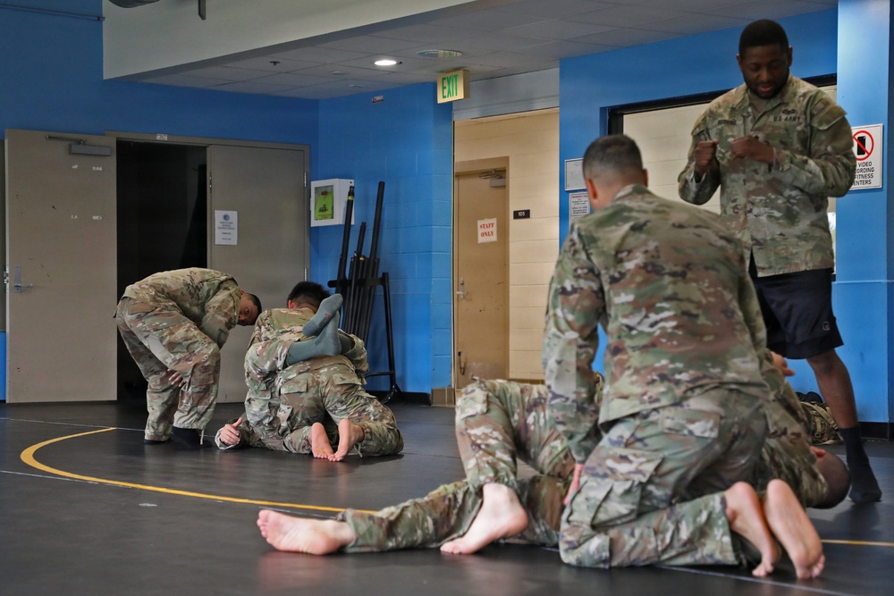 593d CSC Quarterly Combatives Level I Class