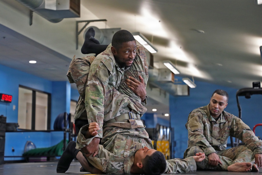 593d CSC Quarterly Combatives Level I Class
