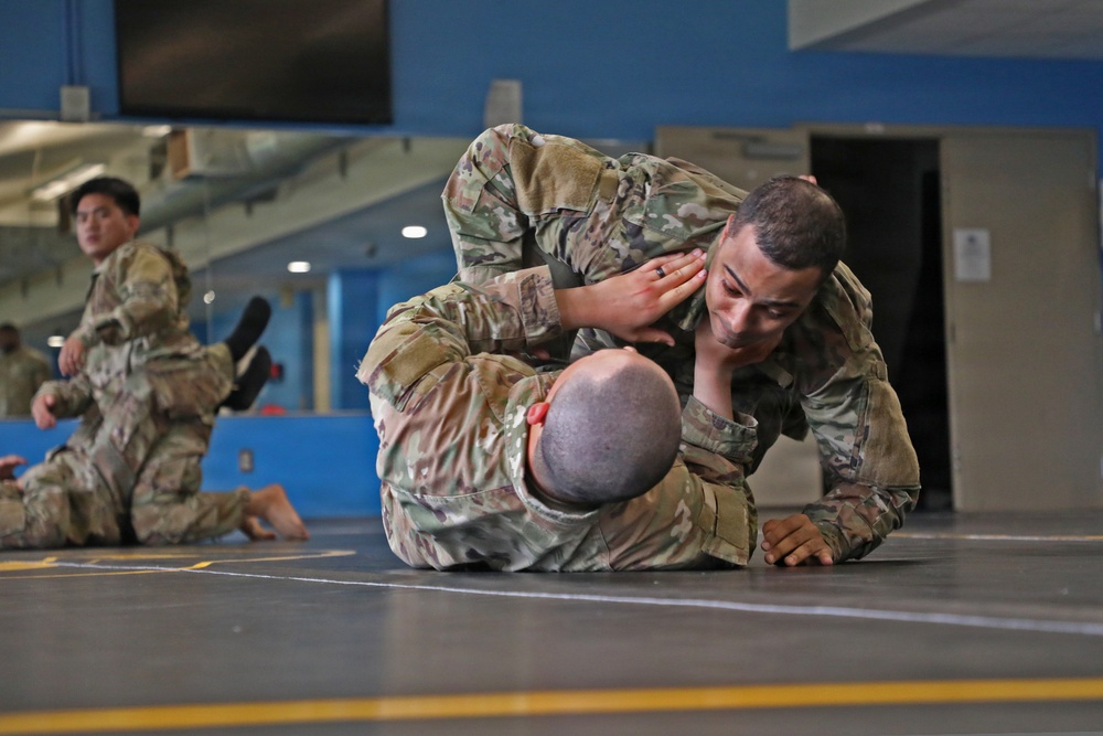 593d CSC Quarterly Combatives Level I Class