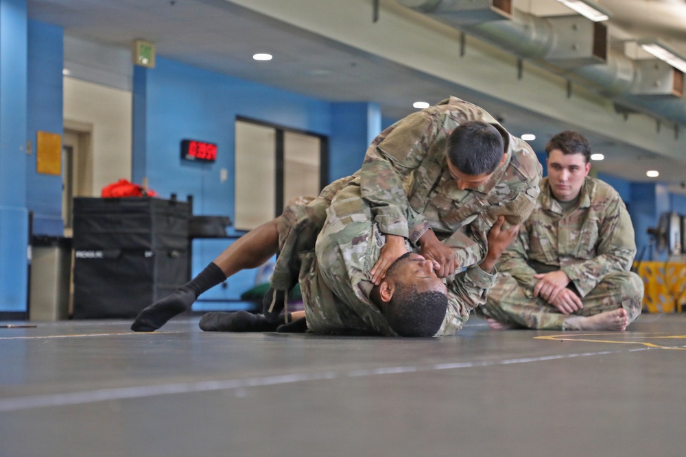 593d CSC Quarterly Combatives Level I Class