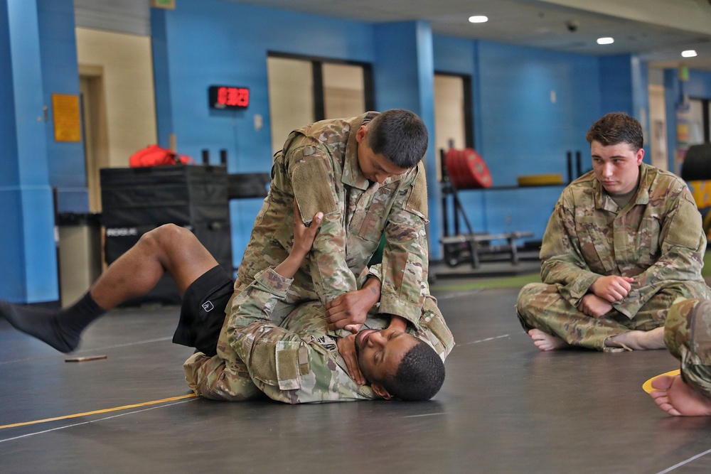 593d CSC Quarterly Combatives Level I Class