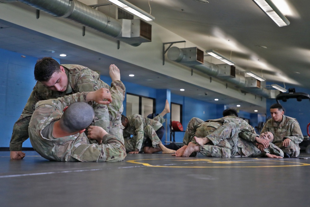 593d CSC Quarterly Combatives Level I Class