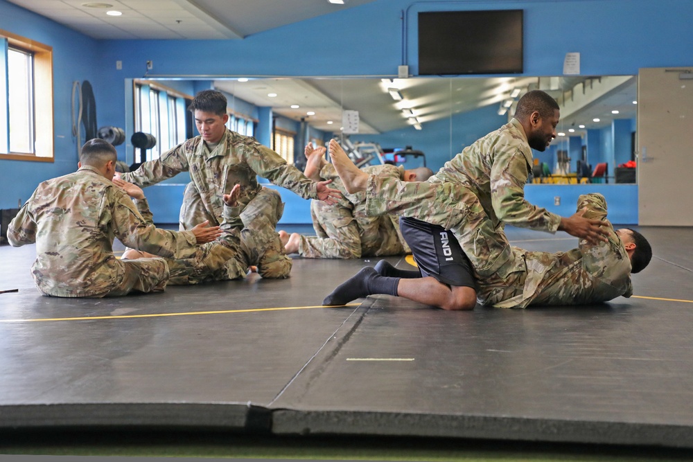 593d CSC Quarterly Combatives Level I Class