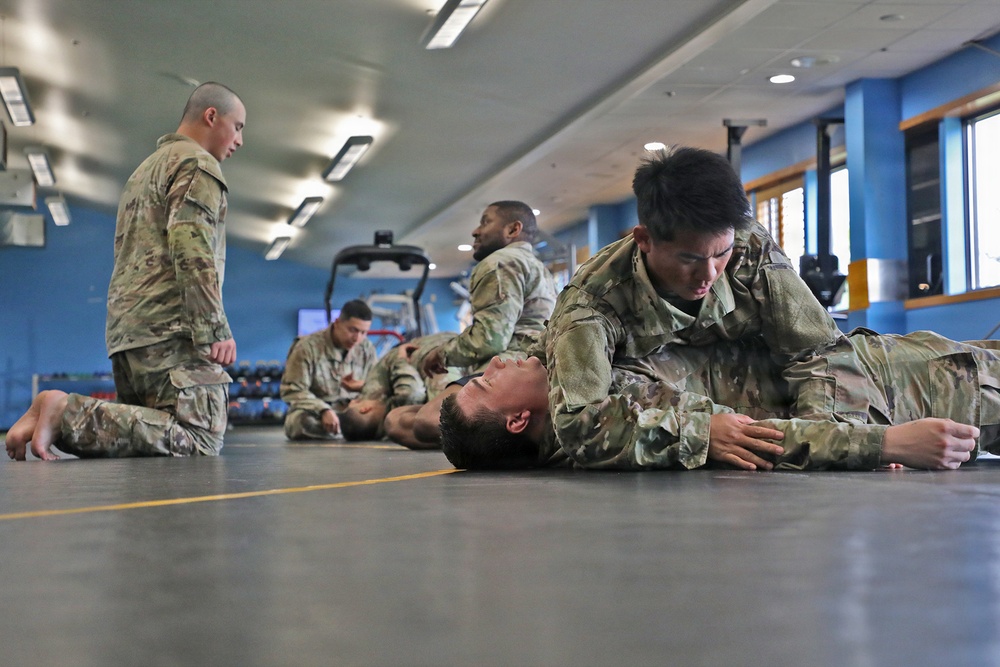 593d CSC Quarterly Combatives Level I Class