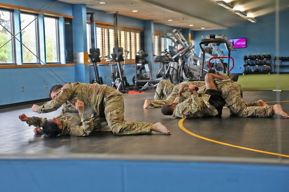 593d CSC Quarterly Combatives Level I Class