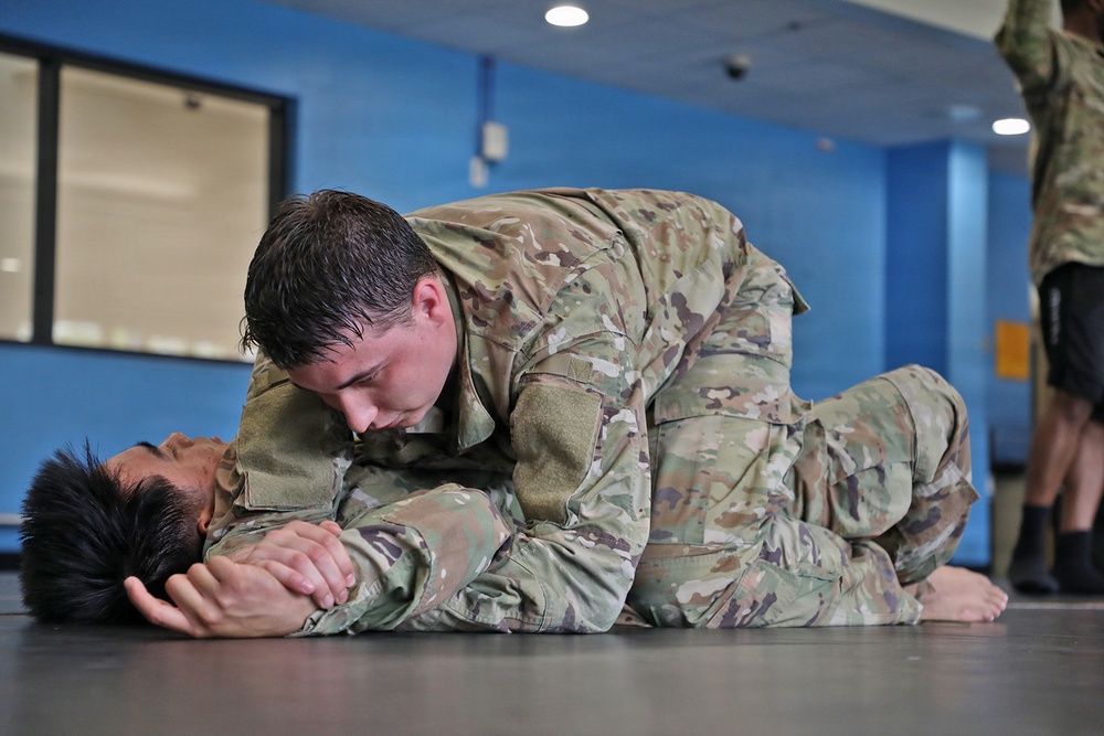 593d CSC Quarterly Combatives Level I Class