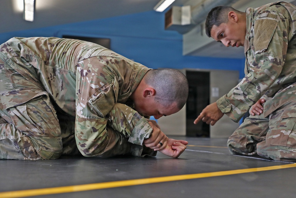 593d CSC Quarterly Combatives Level I Class
