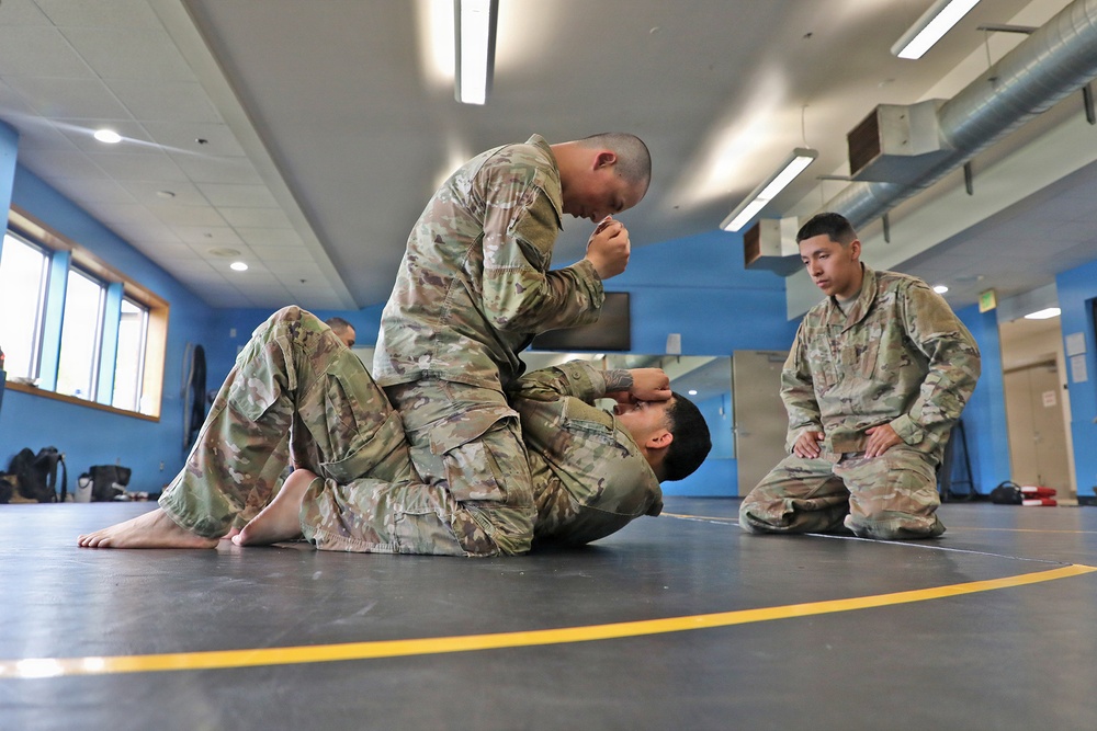 593d CSC Quarterly Combatives Level I Class