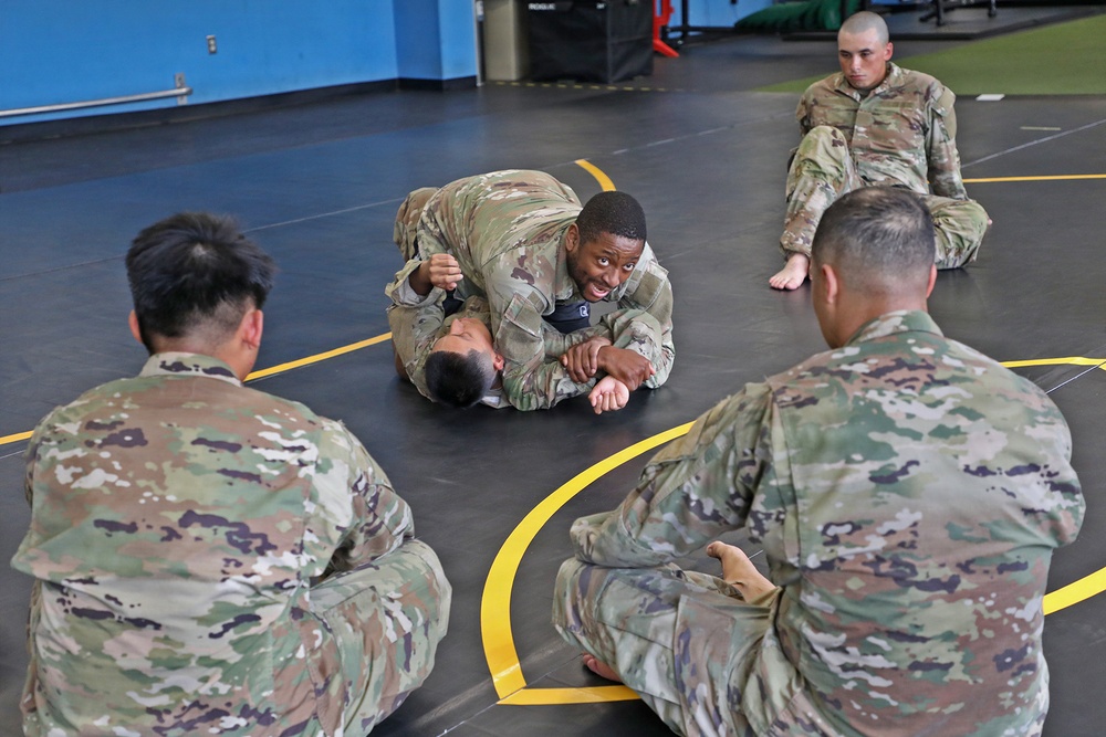 593d CSC Quarterly Combatives Level I Class