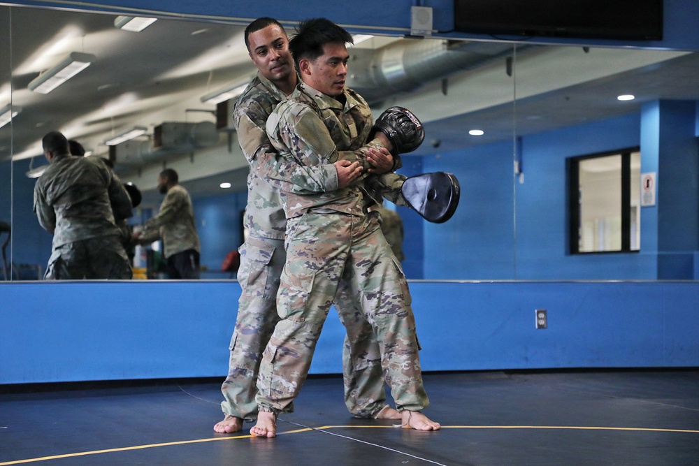 593d CSC Quarterly Combatives Level I Class