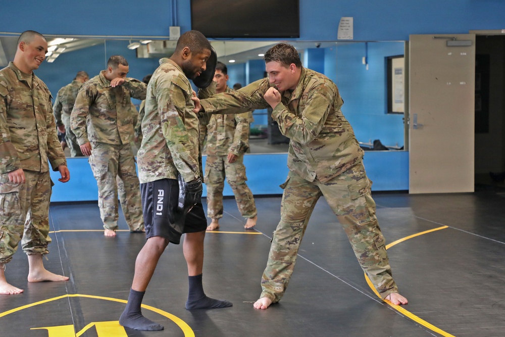 593d CSC Quarterly Combatives Level I Class
