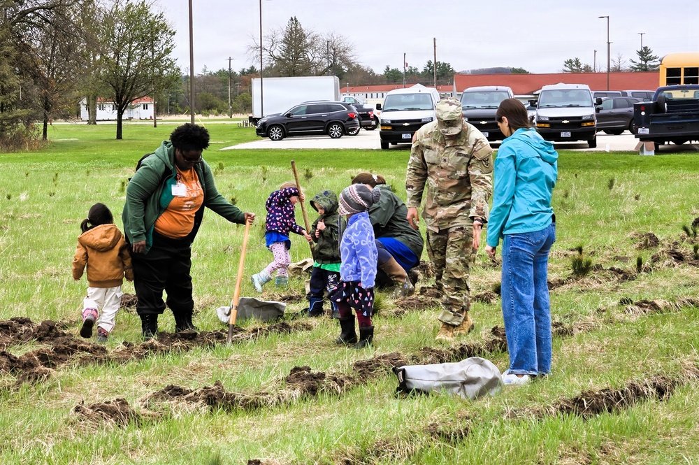 How Tree City USA works, plus how Fort McCoy earned its 37-year streak
