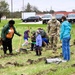 How Tree City USA works, plus how Fort McCoy earned its 37-year streak