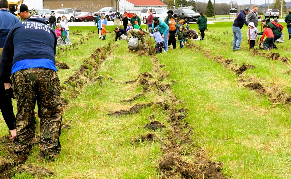 How Tree City USA works, plus how Fort McCoy earned its 37-year streak