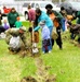 How Tree City USA works, plus how Fort McCoy earned its 37-year streak