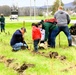 How Tree City USA works, plus how Fort McCoy earned its 37-year streak