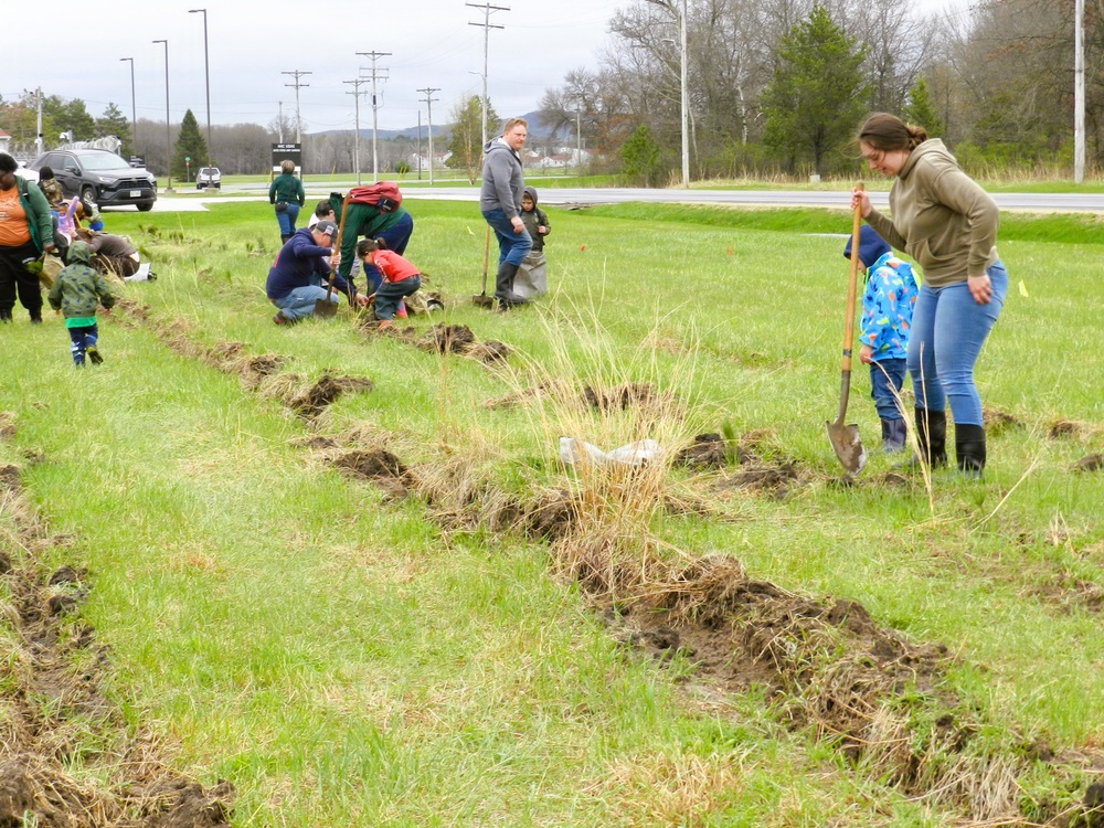 How Tree City USA works, plus how Fort McCoy earned its 37-year streak