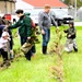 How Tree City USA works, plus how Fort McCoy earned its 37-year streak