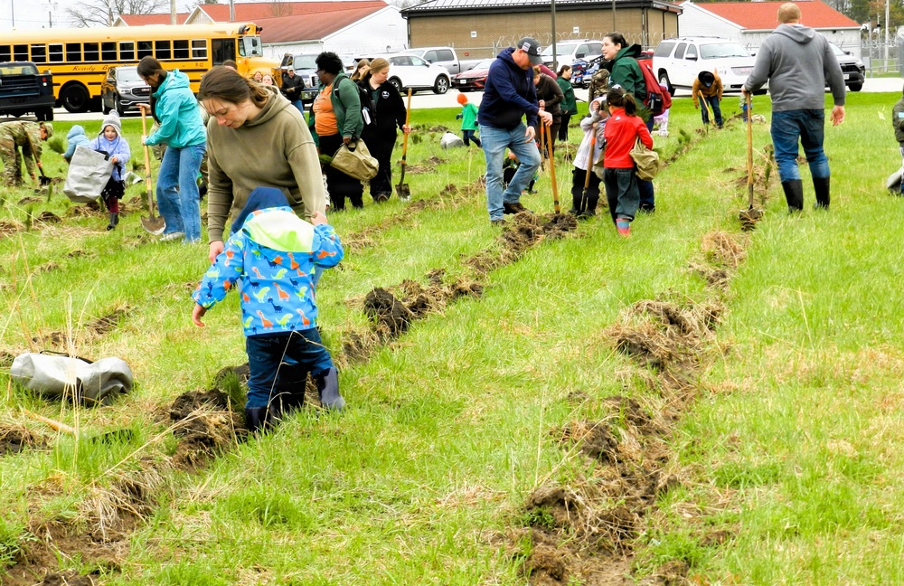 How Tree City USA works, plus how Fort McCoy earned its 37-year streak