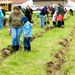 How Tree City USA works, plus how Fort McCoy earned its 37-year streak