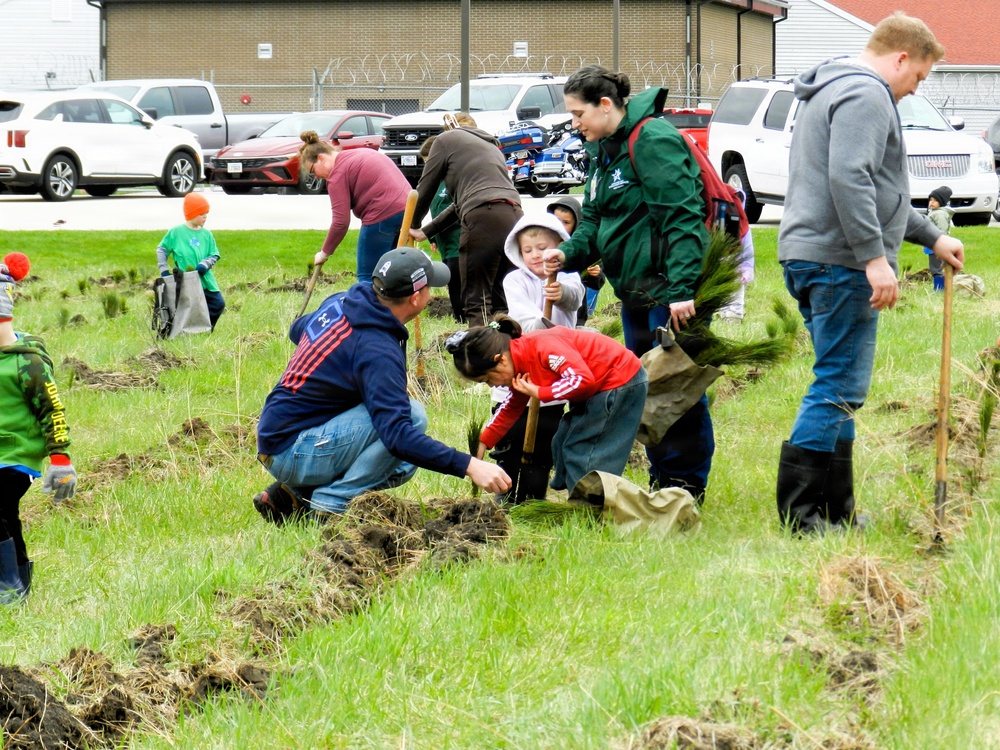 How Tree City USA works, plus how Fort McCoy earned its 37-year streak