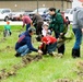 How Tree City USA works, plus how Fort McCoy earned its 37-year streak